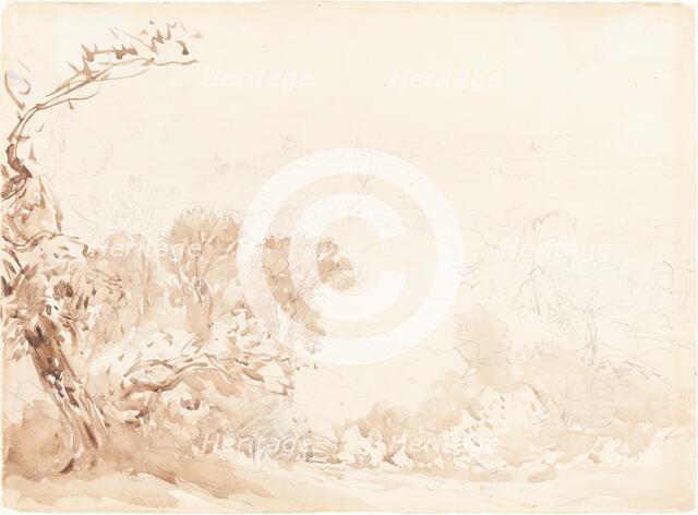 Hillside and Trees. Creators: David Cox, David Cox the elder.