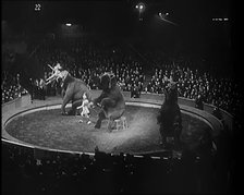 Elephants Performing in a Circus Ring in Front of a Large Crowd, 1931. Creator: British Pathe Ltd.