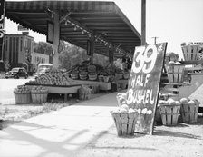 Center Market, Washington, D.C., 1936. Creator: Dorothea Lange.