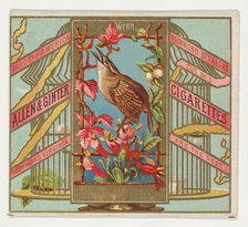 Wren, from the Birds of America series (N37) for Allen & Ginter Cigarettes, 1888. Creator: Allen & Ginter.