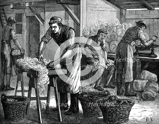 Wool sorters, c1880. Artist: Unknown