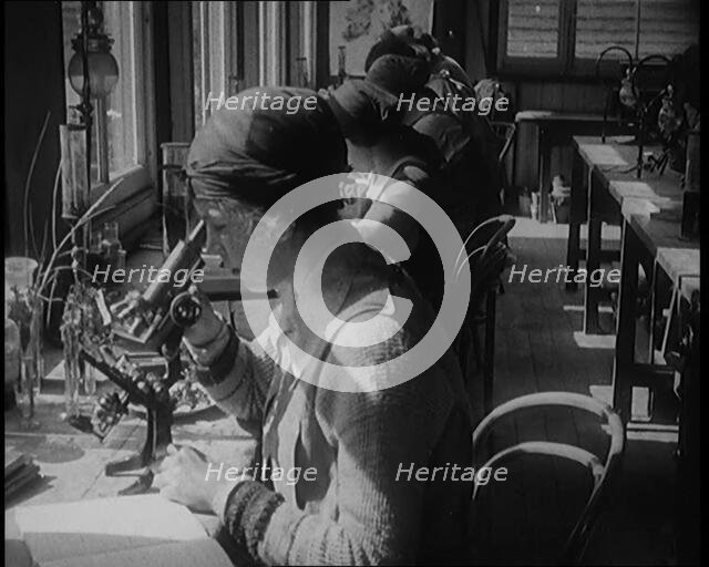 Young Female Civilians Sitting at Desks Looking Through Microscopes in a Science Class, 1920. Creator: British Pathe Ltd.