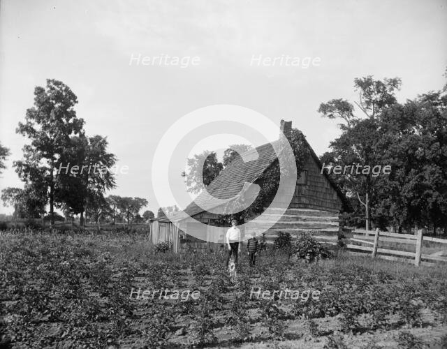 Log cabin, probably Rio Vista, Grosse Ile, Mich., between 1900 and 1910. Creator: William H. Jackson.