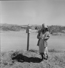 Texas tenant farmer to migrant pea picker in California, 1937. Creator: Dorothea Lange.