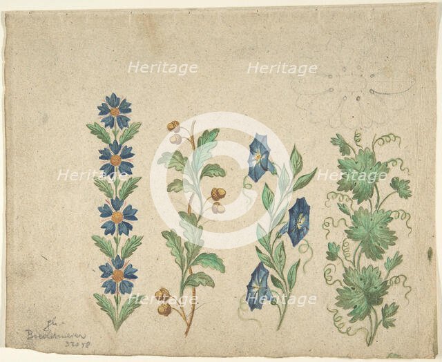 Designs for Embroidery, 19th century. Creator: Anon.