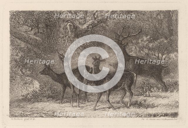 Le harde. Creator: Karl Bodmer.