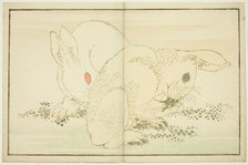 Two Rabbits, from The Picture Book of Realistic Paintings of Hokusai (Hokusai..., Japan, c1814. Creator: Hokusai.