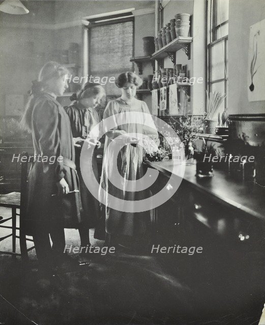 Botany lesson, Chelsea Secondary School (Hortensia Road School), London, 1911. Artist: Unknown.
