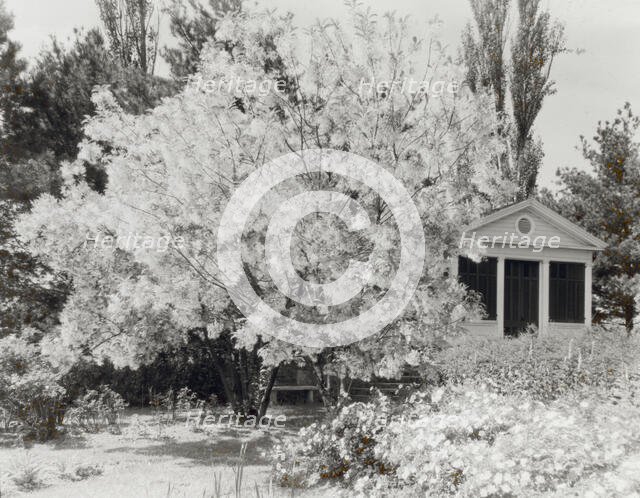 "Belvoir," Fairfax Harrison house, Star Route 709, The Plains, Fauquier County, Virginia, 1928. Creator: Frances Benjamin Johnston.