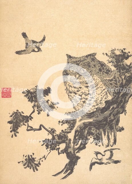 Owl and Two Swallows. Creator: Utagawa Toyohiro.