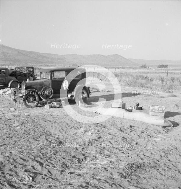 Potato workers camp, no tents, waiting for..., Outskirts of Merrill, Klamath County, Oregon, 1939. Creator: Dorothea Lange.