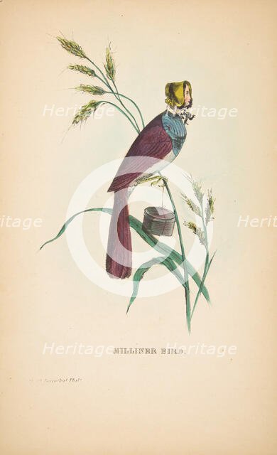 Milliner Bird (Minnie Doyle), from The Comic Natural History of the Human Race, 1851. Creators: Henry Louis Stephens, L. Rosenthal.