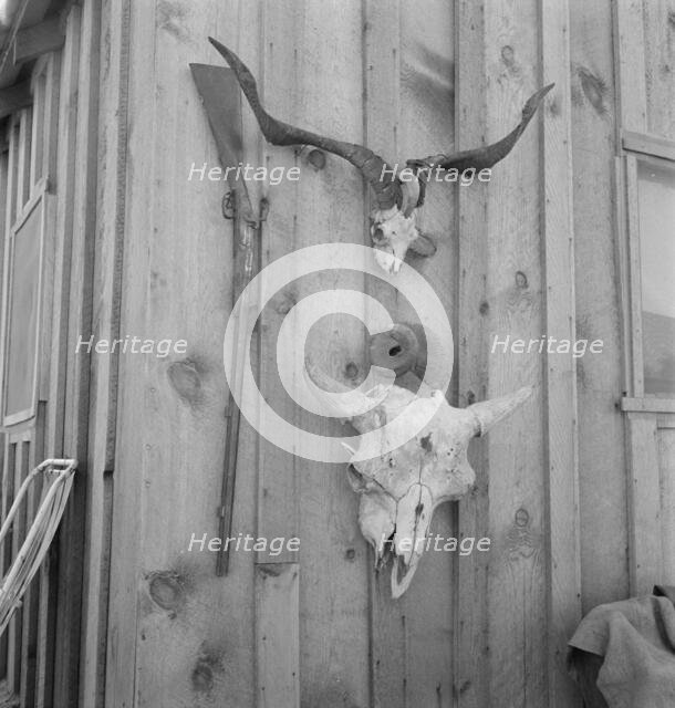 Side of Cates' new house, Malheur County, Oregon, 1939. Creator: Dorothea Lange.