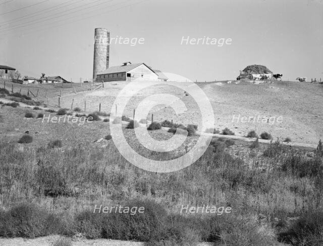 Western Idaho dairy farm, 1939. Creator: Dorothea Lange.