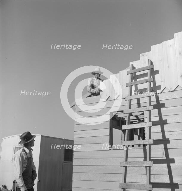 Father and son, recent migrants to California, building house, Salinas, California, 1939. Creator: Dorothea Lange.