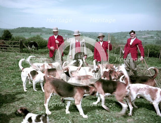 Meet of foxhounds at Hawley, Somerset, c1955-1970. Creator: Arthur Charles Kirby Ware.