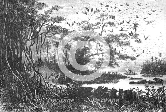 ''Lake scenery in Central Africa; The regions of the Cazembe', 1875. Creator: Unknown.