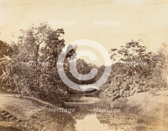 Botanical Gardens, Calcutta, 1850s. Creator: Unknown.