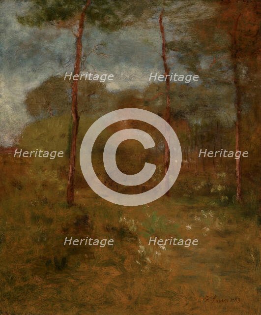 Orange Road, Tarpon Springs, about 1893. Creator: George Inness.