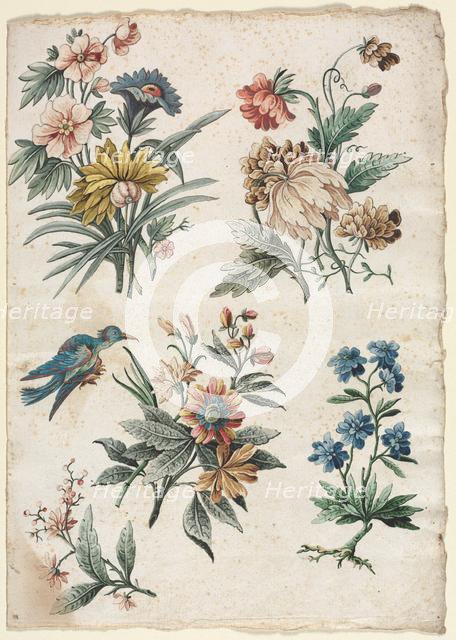Floral Designs with a Blue Bird, c. 1773/74. Creator: Giacomo Cavenezia (Italian).
