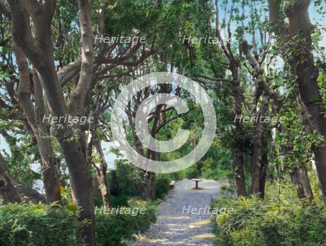 Villa Gamberaia, Settignano, Tuscany, Italy, 1925. Creator: Frances Benjamin Johnston.