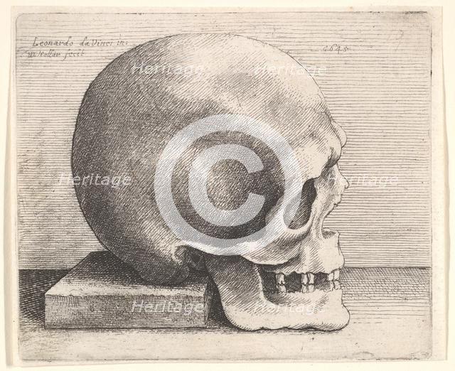 Skull in profile to right, 1645. Creator: Wenceslaus Hollar.