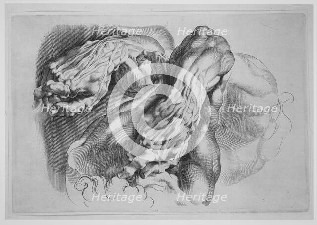 Three Studies of Écorchés, after 1640., after 1640. Creator: Paulus Pontius.