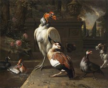 Exotic Birds in a Park, 1702. Creator: Weenix, Jan, the Younger (1642-1719).