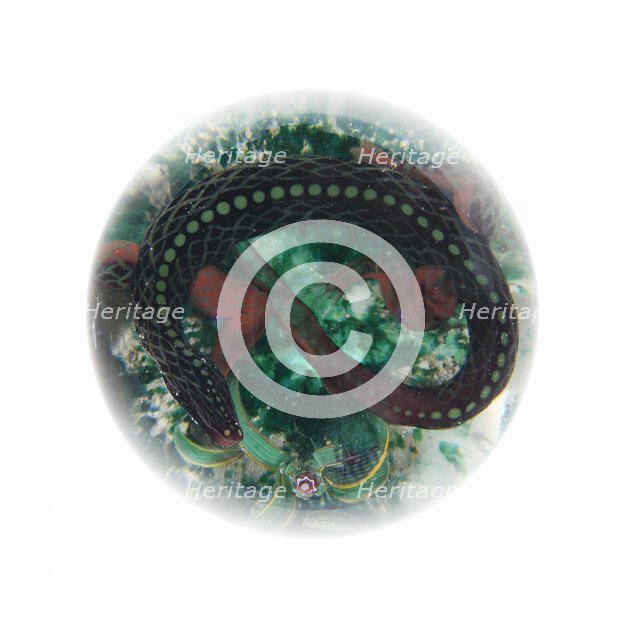 Paperweight, France, c. 1878. Creator: Monot, Pere et Fils, et Stumpf Cristallerie de Pantin.