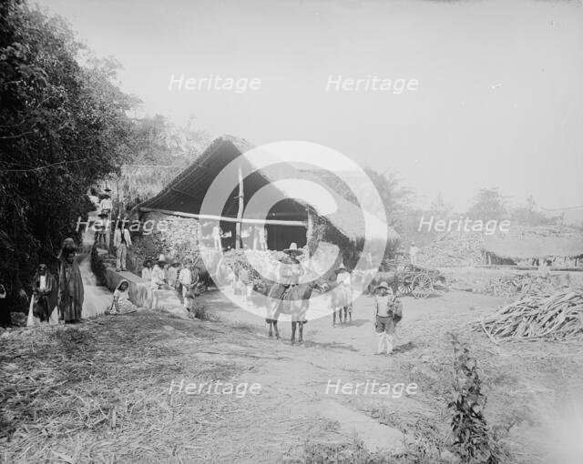 Sugar mill at Temasopa [sic], between 1880 and 1897. Creator: William H. Jackson.