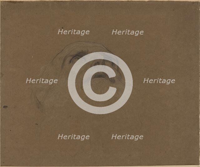 Head of an Old Man. Creator: Alphonse Legros.