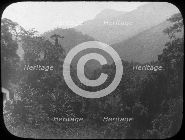 Near Petrópolis, Rio de Janeiro, Brazil, late 19th or early 20th century. Artist: Unknown