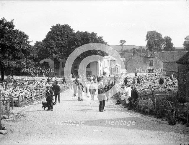 Sheep fair at East Ilsley, Berkshire, c1860-c1922. Artist: Henry Taunt