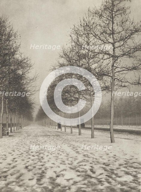 The Mall in winter. From the album: Photograph album - London, 1920s. Creator: Harry Moult.