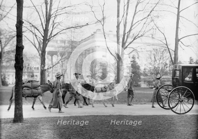Los Angeles Hikers Who Brought White Plague Cure To President Wilson, at White House, 1914. Creator: Harris & Ewing.