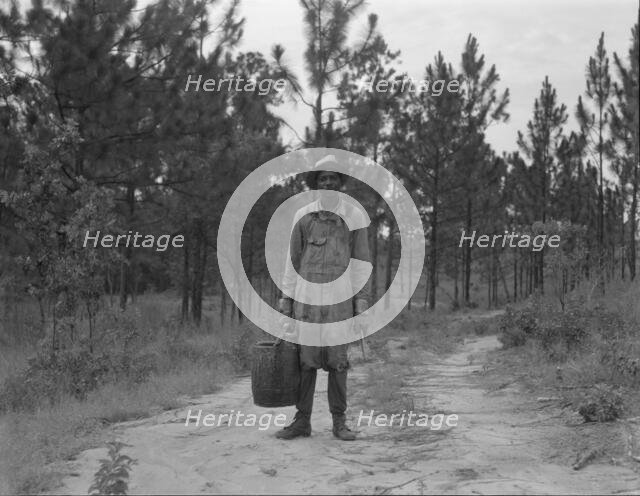 Turpentine dipper near Waycross, Georgia, 1937. Creator: Dorothea Lange.