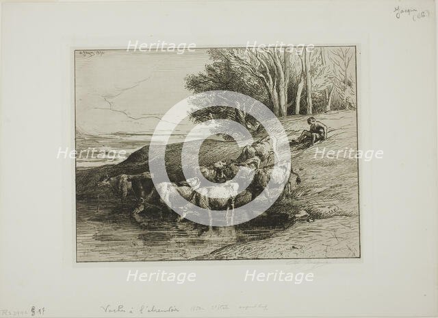 Cows at the Watering Place, 1850. Creator: Charles Emile Jacque.