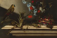 Still Life with Artichokes and a Parrot, 17th century. Creator: Unknown.