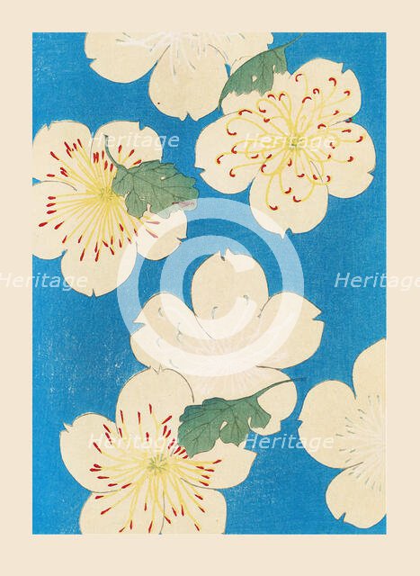 Illustration from "Shin bijutsukai", 1901-1902. Creators: Sekka, Kamisaka (1866-1942), Korin, Furuya (1875-1910)