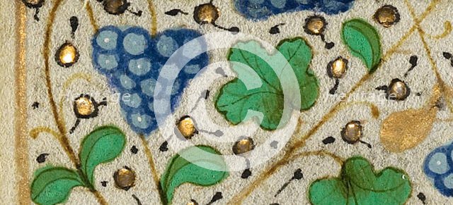 Decorated Border with Grapes; Boethius, Consolation de philosophie, about 1460-1470. Creator: Unknown.