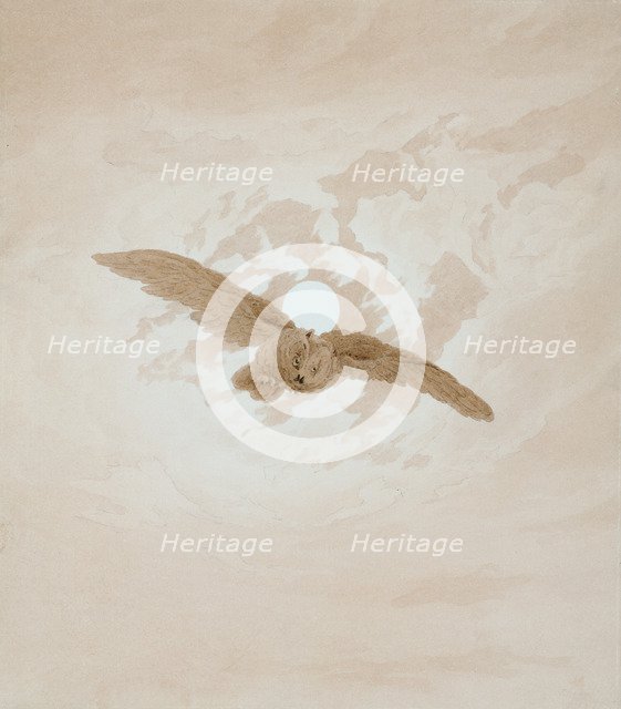 'Owl Flying against a Moonlit Sky', 1836-1837.  Artist: Caspar David Friedrich