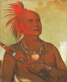 Pam-a-hó, The Swimmer, One of Black Hawk's Warriors, 1832. Creator: George Catlin.