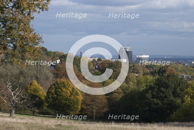UK, London, Hampstead Heath, 2009. Creator: Ethel Davies.