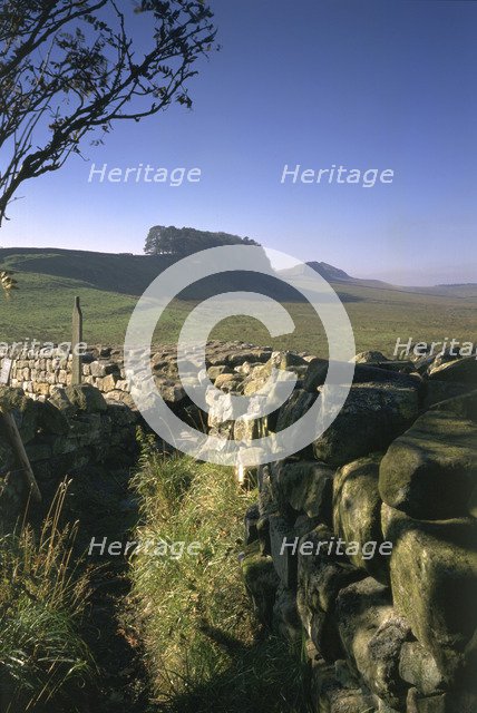 Hadrian's Wall, Northumberland, 1994. Artist: Paul Highnam