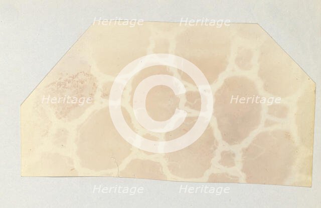 Lace in the Solar Microscope, 400 times magnified in surface, 1839. Creator: William Henry Fox Talbot.