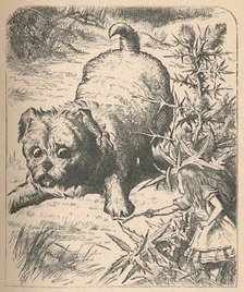 'The Giant Puppy', 1889. Artist: John Tenniel.