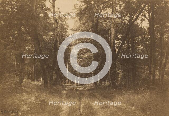 Bas-Bréau, Forest of Fontainebleau, 1849-1852. Creator: Gustave Le Gray.