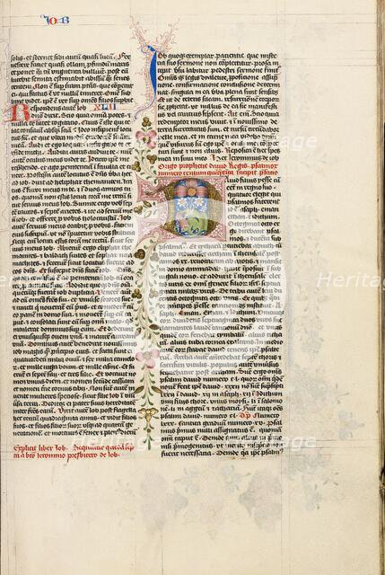 Initial D: David Playing the Harp; Bible, about 1450. Creator: Circle of Stefan Lochner.