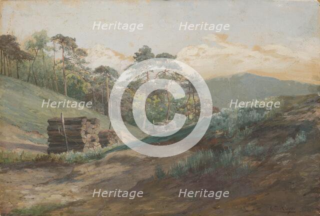 A forest valley with pine trees, around 1894-1895. Creator: Ludovit Cordak.