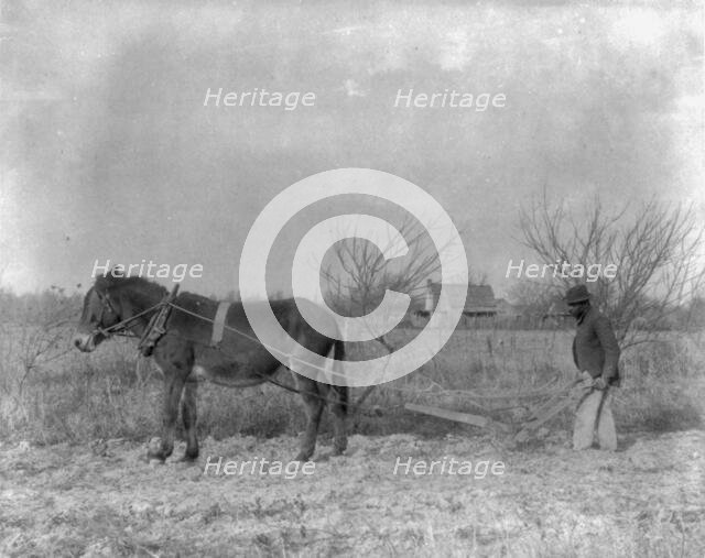 American Indian and African American students at Hampton Institute, Hampton, Va. 1900(?) Creator: Frances Benjamin Johnston.